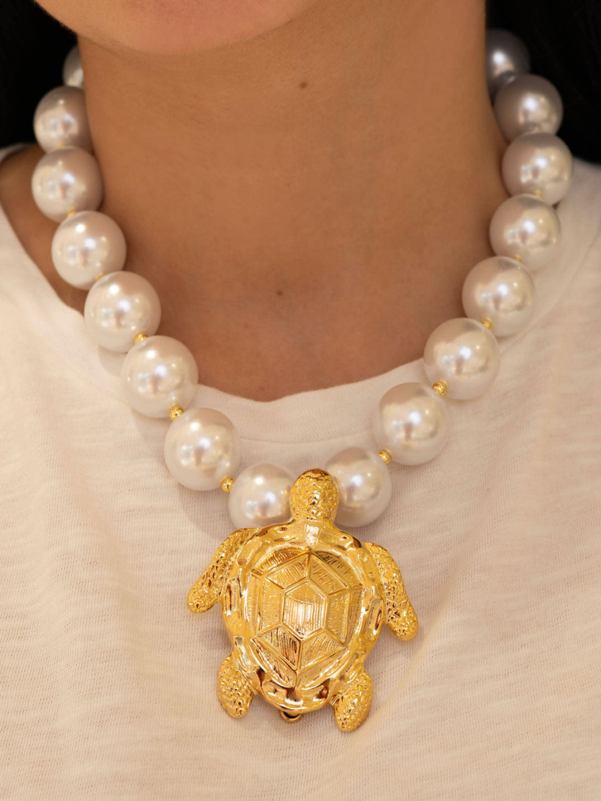 Perla tortuga