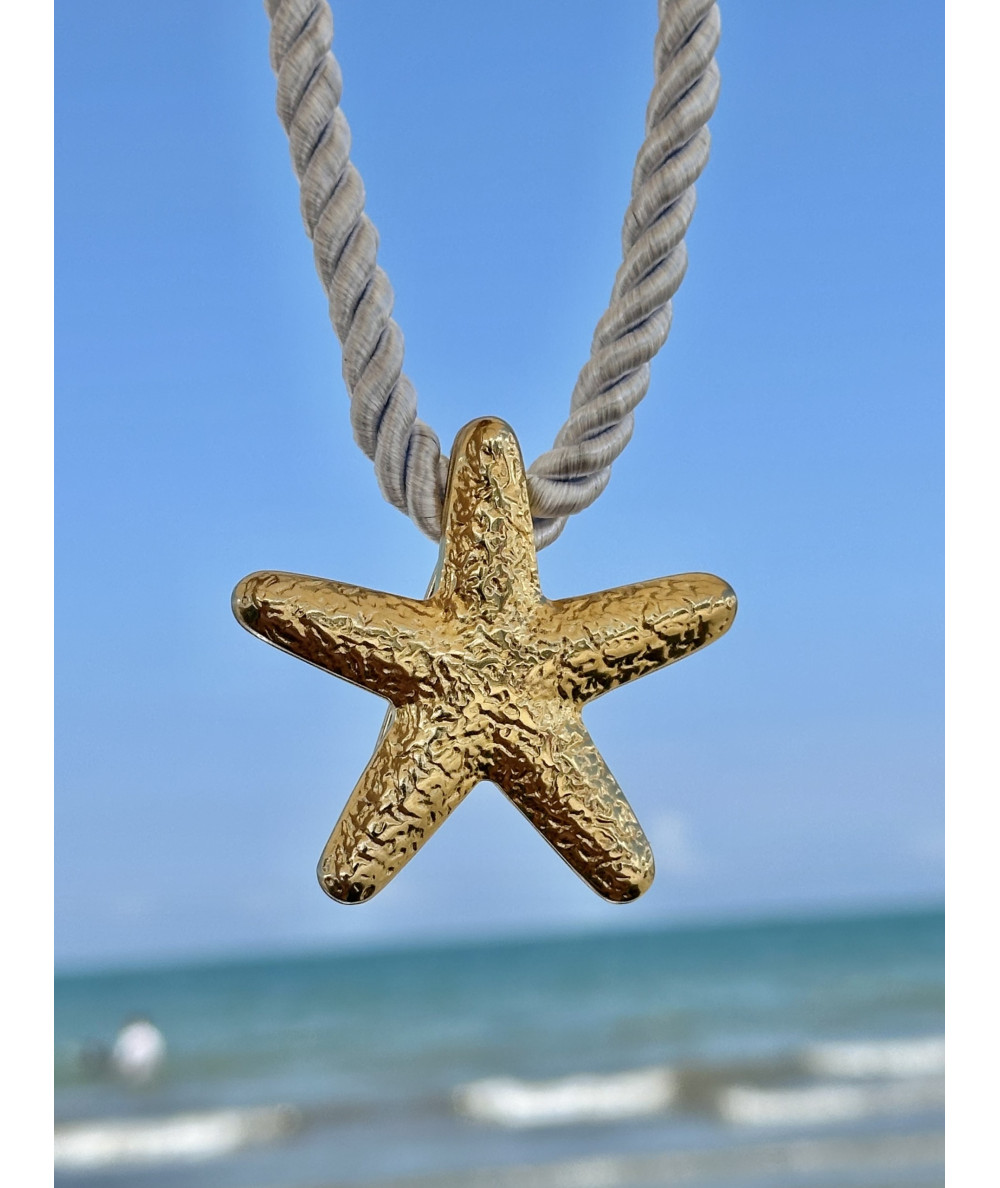 Estrella de océano.