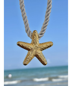 Estrella de océano.